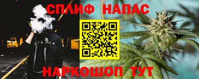 стаф Будённовск